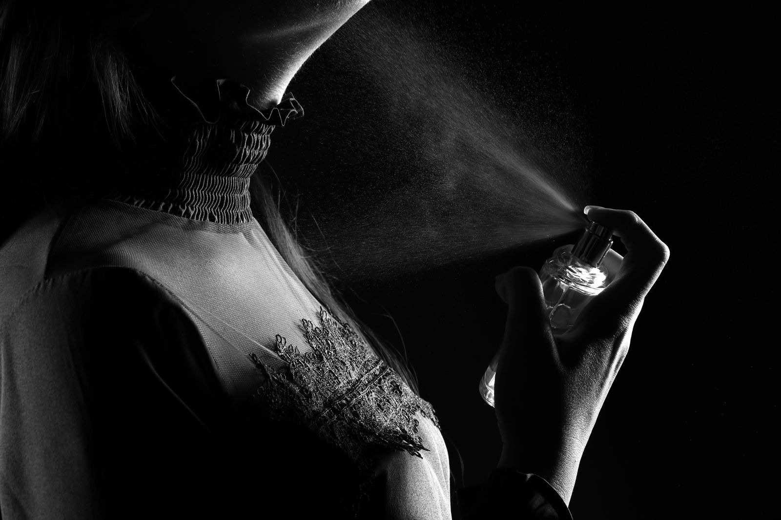 Rose de Grasse 03 — imagem 3
